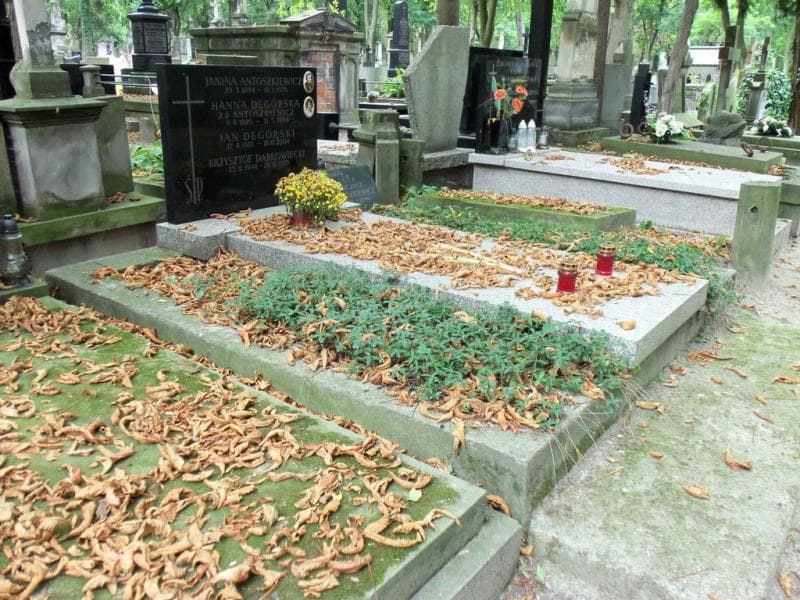 Zdjęcie grobu Krzysztof Dąbrowiecki (1)
