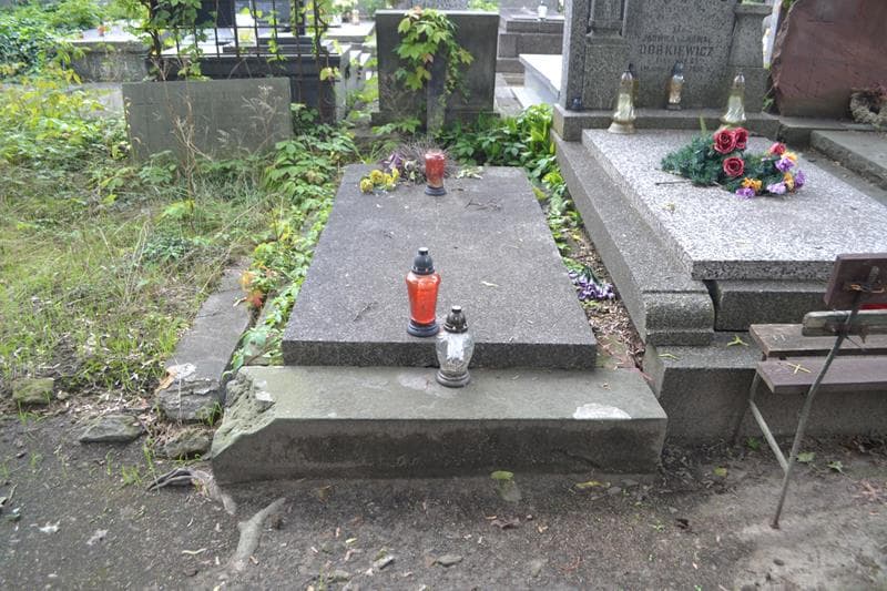 Zdjęcie grobu Janowscy (1)