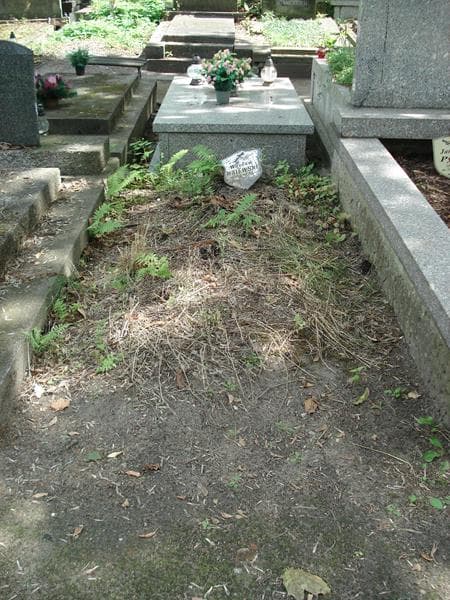 Zdjęcie grobu: Wacław Walewski