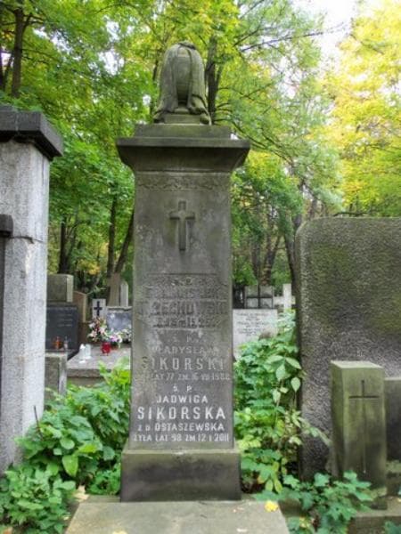 Zdjęcie grobu Franciszek Orzechowski (2)