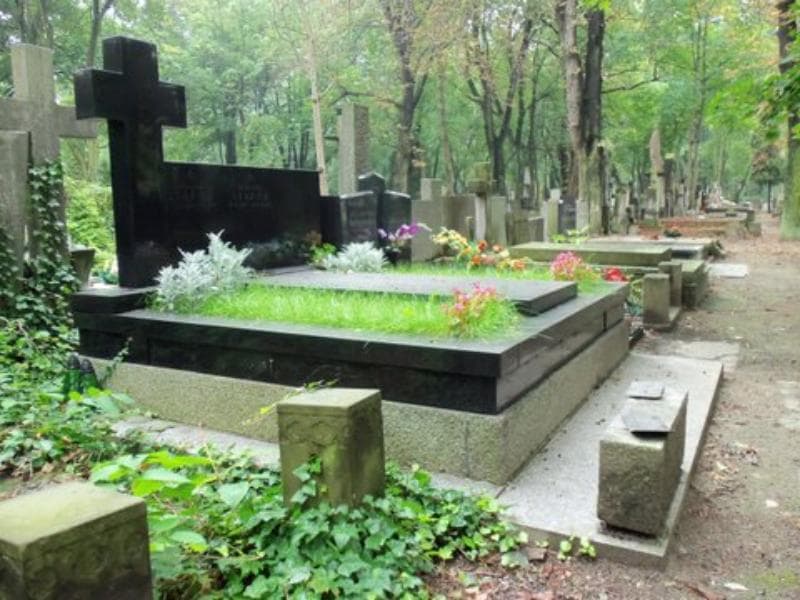 Zdjęcie grobu Aleksander Stąpór (1)