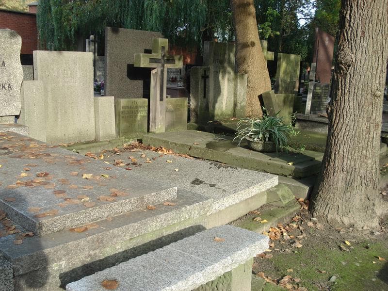 Zdjęcie grobu Kazimierz Stefan Ptaszyński (1)