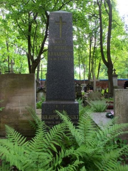 Zdjęcie grobu Michał Kłopotowski (2)