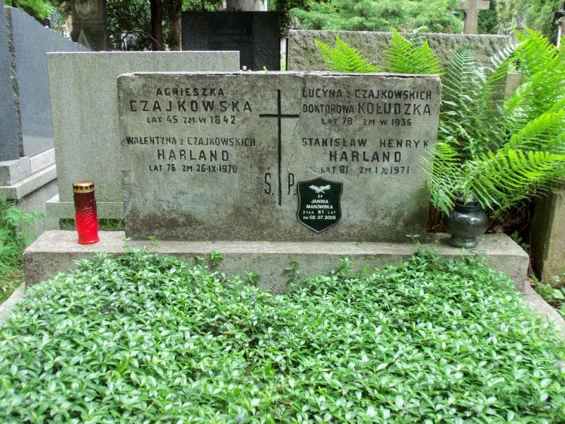 Zdjęcie grobu Walentyna Harland (2)