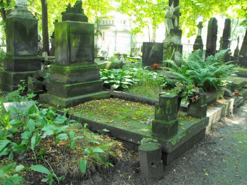 Zdjęcie grobu Ewa Wolska (1)