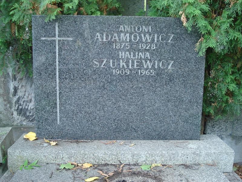 Zdjęcie grobu Antoni Adamowicz (2)
