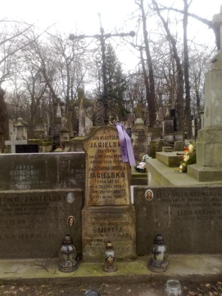 Zdjęcie grobu Aniela Herman (2)