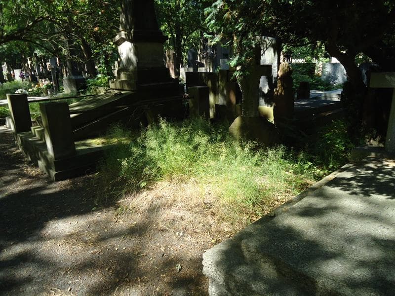 Zdjęcie grobu Zygmuś Stryjewski (1)