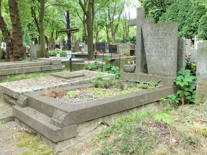 Zdjęcie grobu Helena Wrzosek (1)