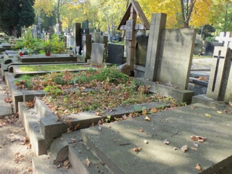 Zdjęcie grobu Maria Wójcikowa (1)
