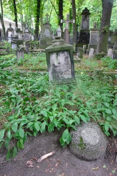 Zdjęcie grobu Franciszek Zawadzki (1)