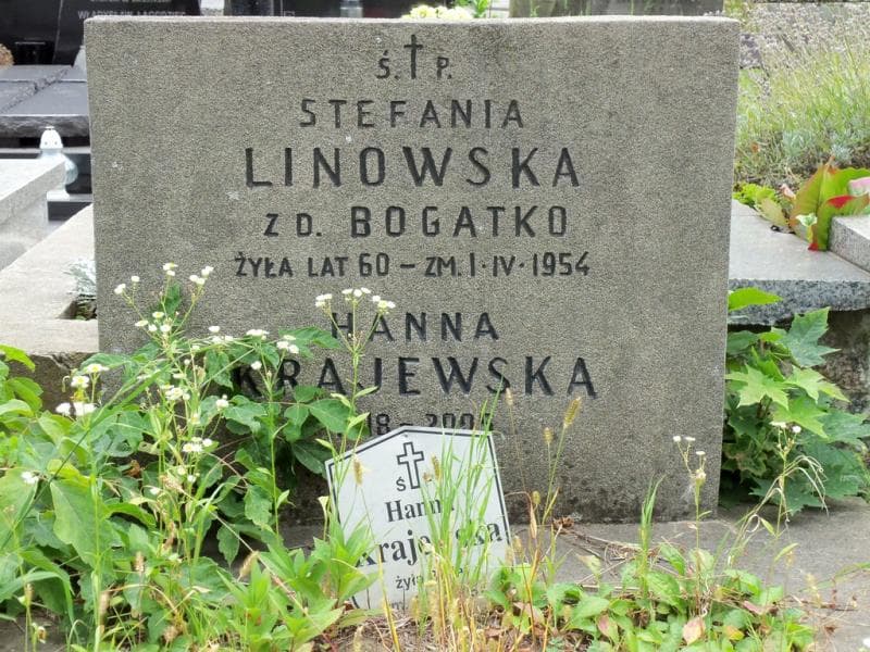 Zdjęcie grobu Hanna Krajewska (2)