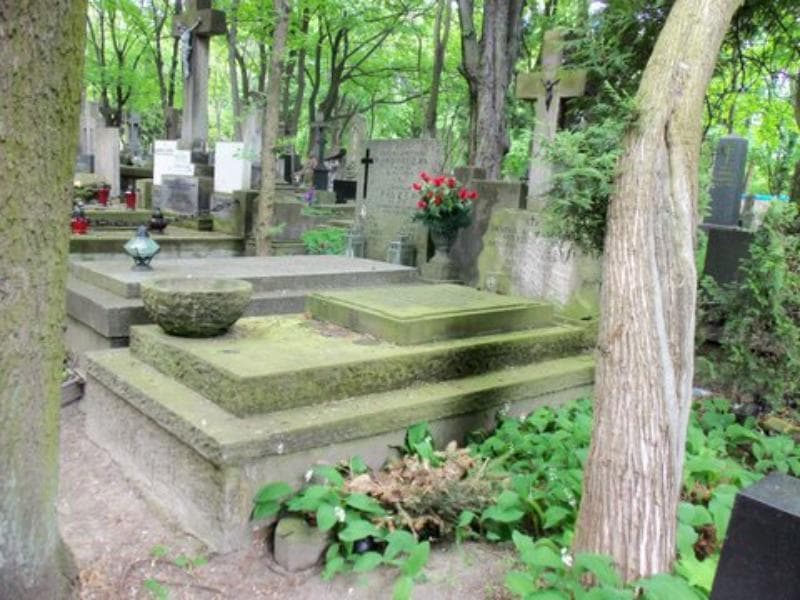 Zdjęcie grobu Mieczysław Mierzejewski (1)