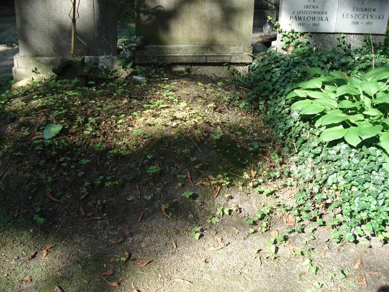 Zdjęcie grobu: Pole Grobowe