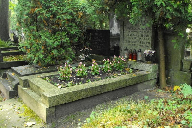 Zdjęcie grobu Eugeniusz Hellwig (1)