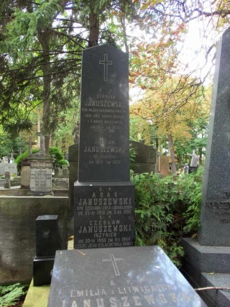 Zdjęcie grobu Adaś Januszewski (2)
