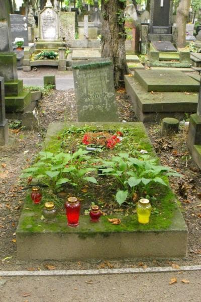 Zdjęcie grobu: Ludwik Włodek