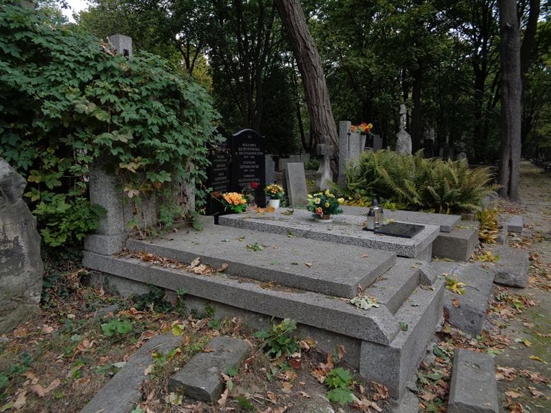 Zdjęcie grobu: Stanisław Frankiewicz