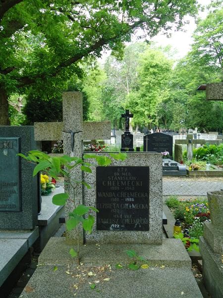 Zdjęcie grobu Stanisław Chełmecki (2)