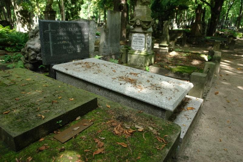 Zdjęcie grobu Janina Szlegier (1)