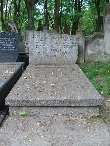 Zdjęcie grobu: Alojzy Omiecki