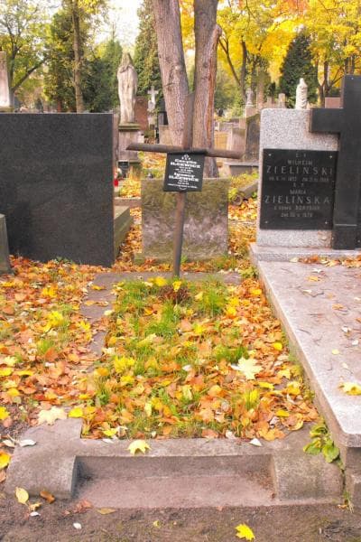 Zdjęcie grobu: Ignacy Ilcewicz