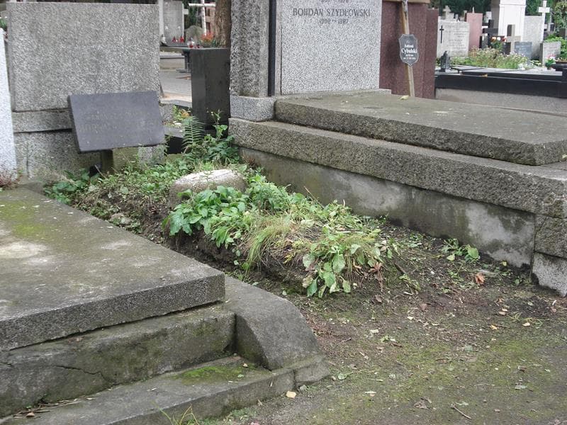 Zdjęcie grobu Wanda Horwatt-Bożyczko (1)