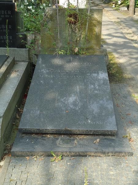 Zdjęcie grobu: Maria Miedzianowska