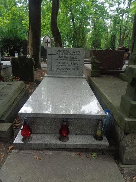 Zdjęcie grobu Henryk Szeń (1)