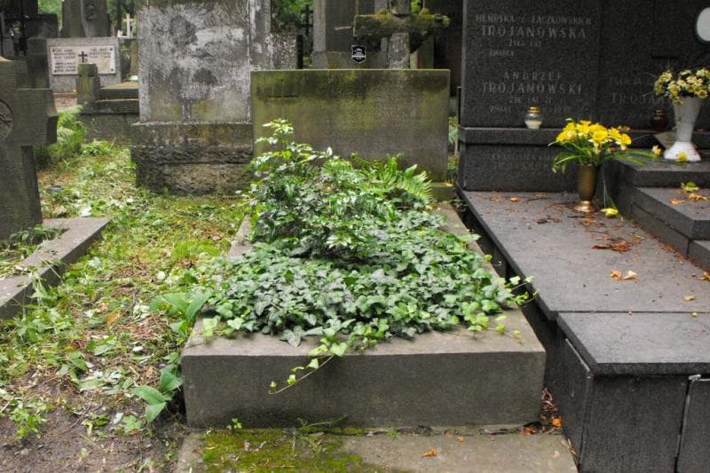 Zdjęcie grobu Stanisław Wiesław Cielecki (1)