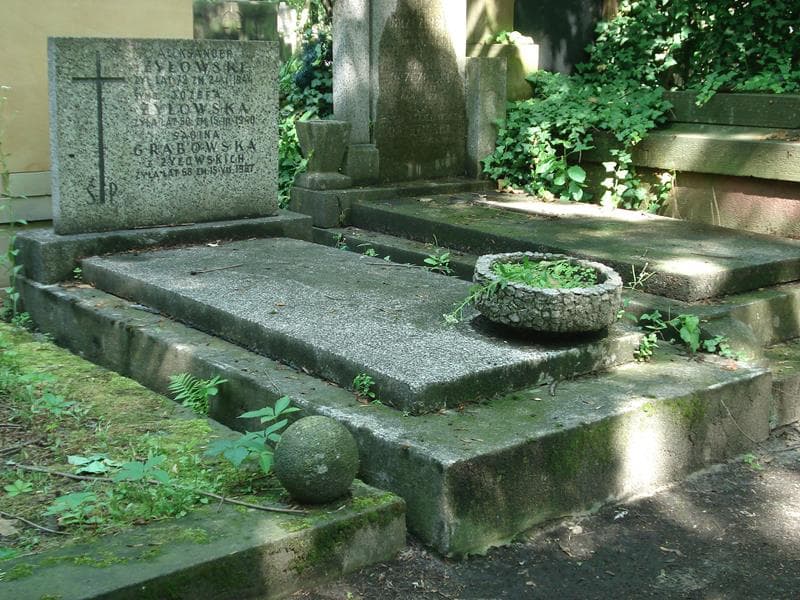 Zdjęcie grobu Aleksander Żyłowski (1)