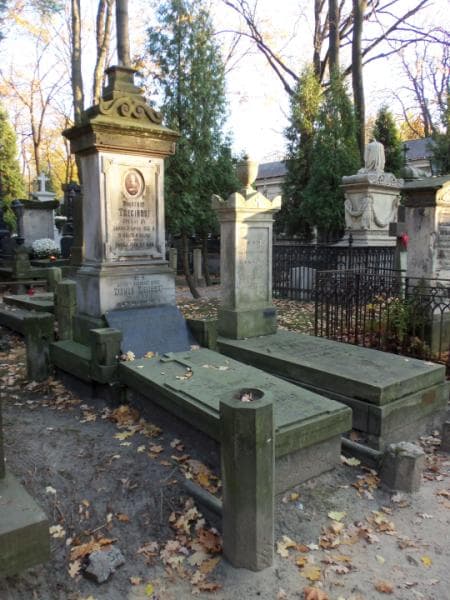 Zdjęcie grobu Wincenty Trzciński (1)