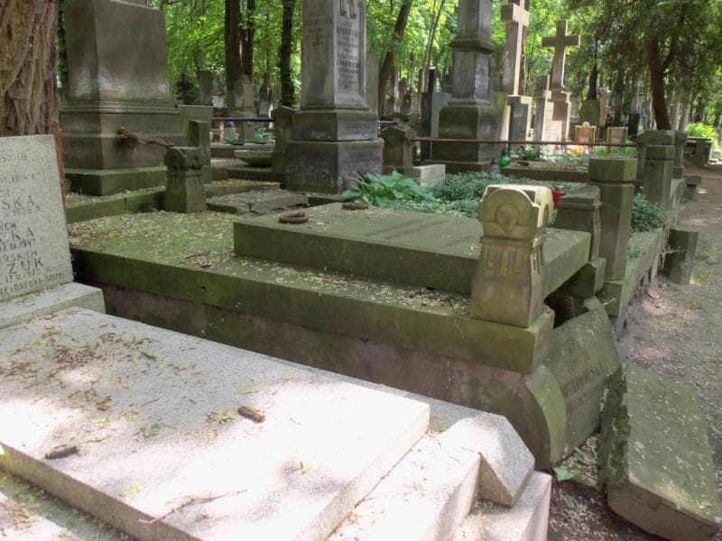Zdjęcie grobu Teodora Dobrowolska (1)