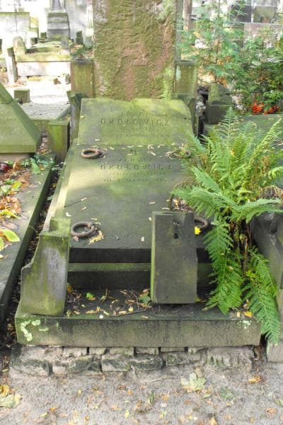 Zdjęcie grobu: Józef Okołowicz