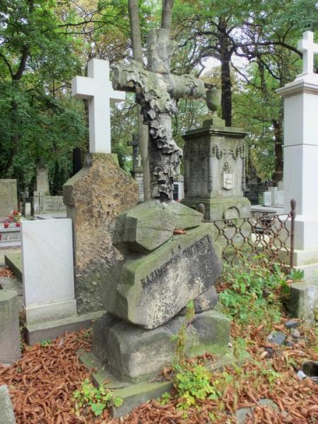Zdjęcie grobu Kazimierz Słoński (2)