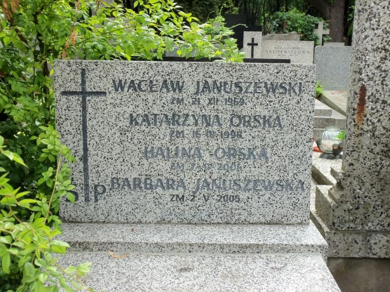 Zdjęcie grobu Wacław Januszewski (2)
