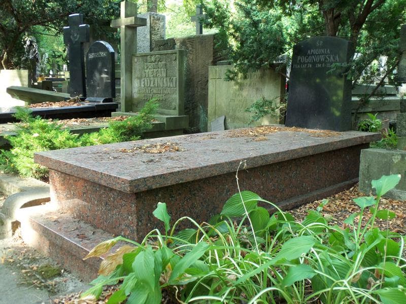 Zdjęcie grobu Apolonia Pogonowska (1)