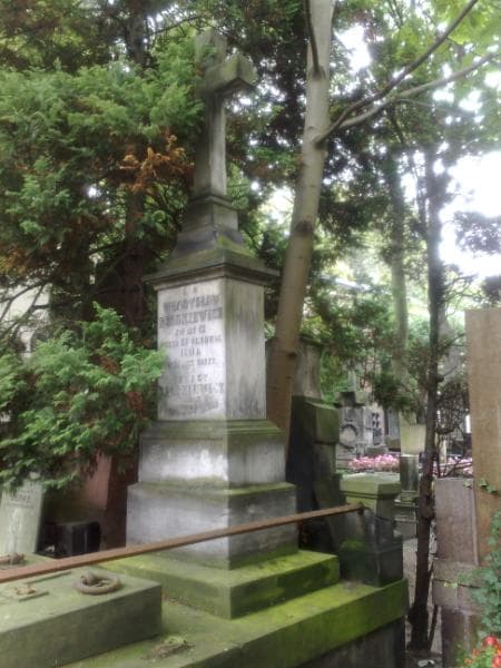 Zdjęcie grobu Ignacy Rzodkiewicz (1)