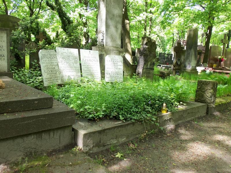 Zdjęcie grobu Wiktor Natanson (1)