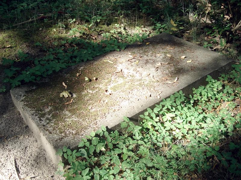 Zdjęcie grobu Zygmunt Jelnicki (1)