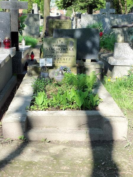 Zdjęcie grobu: Bronisław Tetzlaff