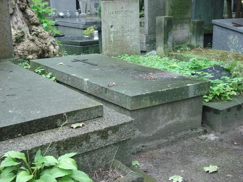 Zdjęcie grobu Helena Domańska (1)