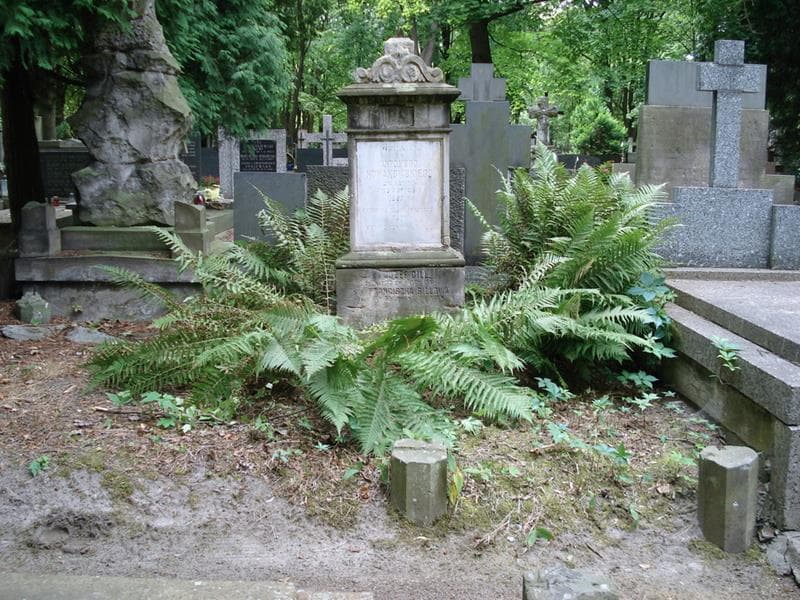 Zdjęcie grobu Antoni Nowakowski (1)