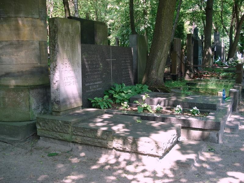 Zdjęcie grobu: Eugenia Drabik Witkowska