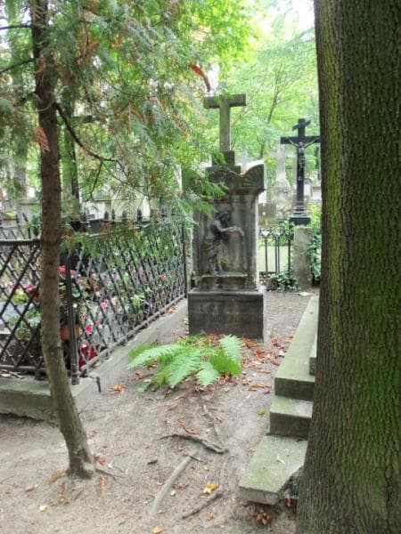 Zdjęcie grobu: Franciszek Wroczyński