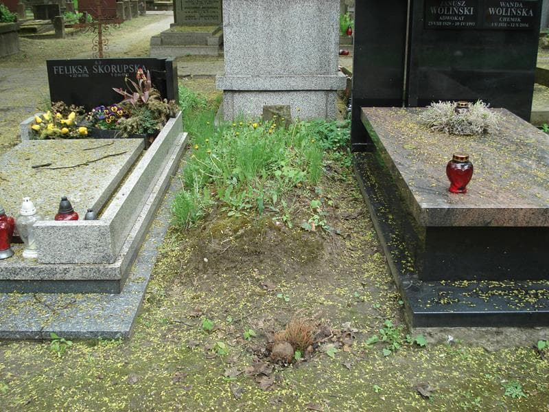 Zdjęcie grobu: Katarzyna Myślewska