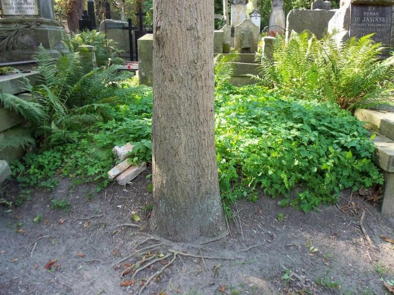 Zdjęcie grobu: Pole Grobowe