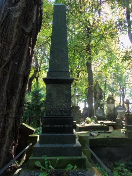 Zdjęcie grobu Róża Michalska (2)