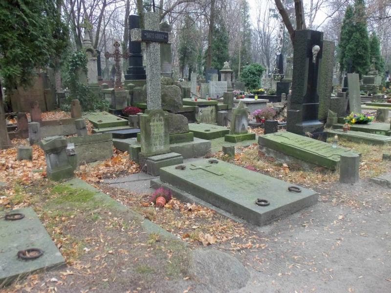 Zdjęcie grobu Janina Górska (1)