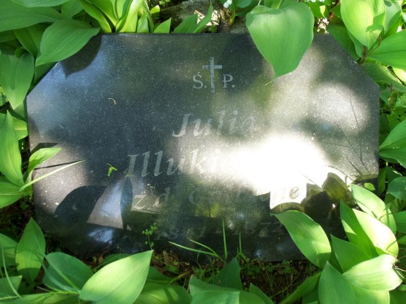 Zdjęcie grobu Julia Illukiewicz (2)